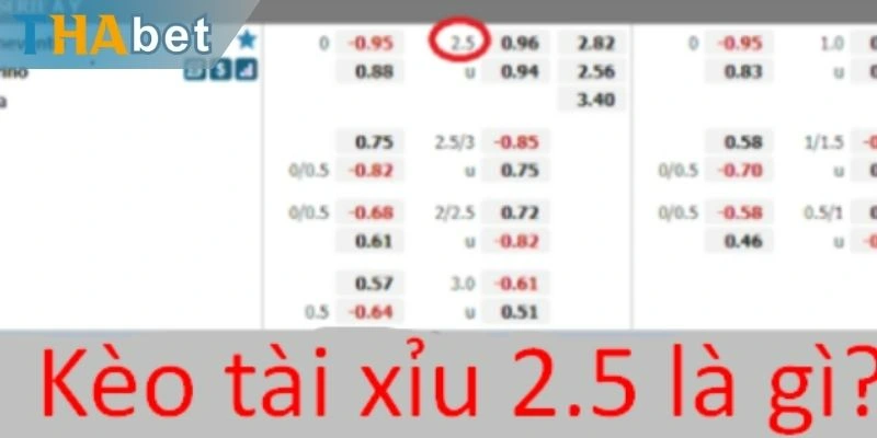 Giới thiệu kèo tài xỉu 2.5 